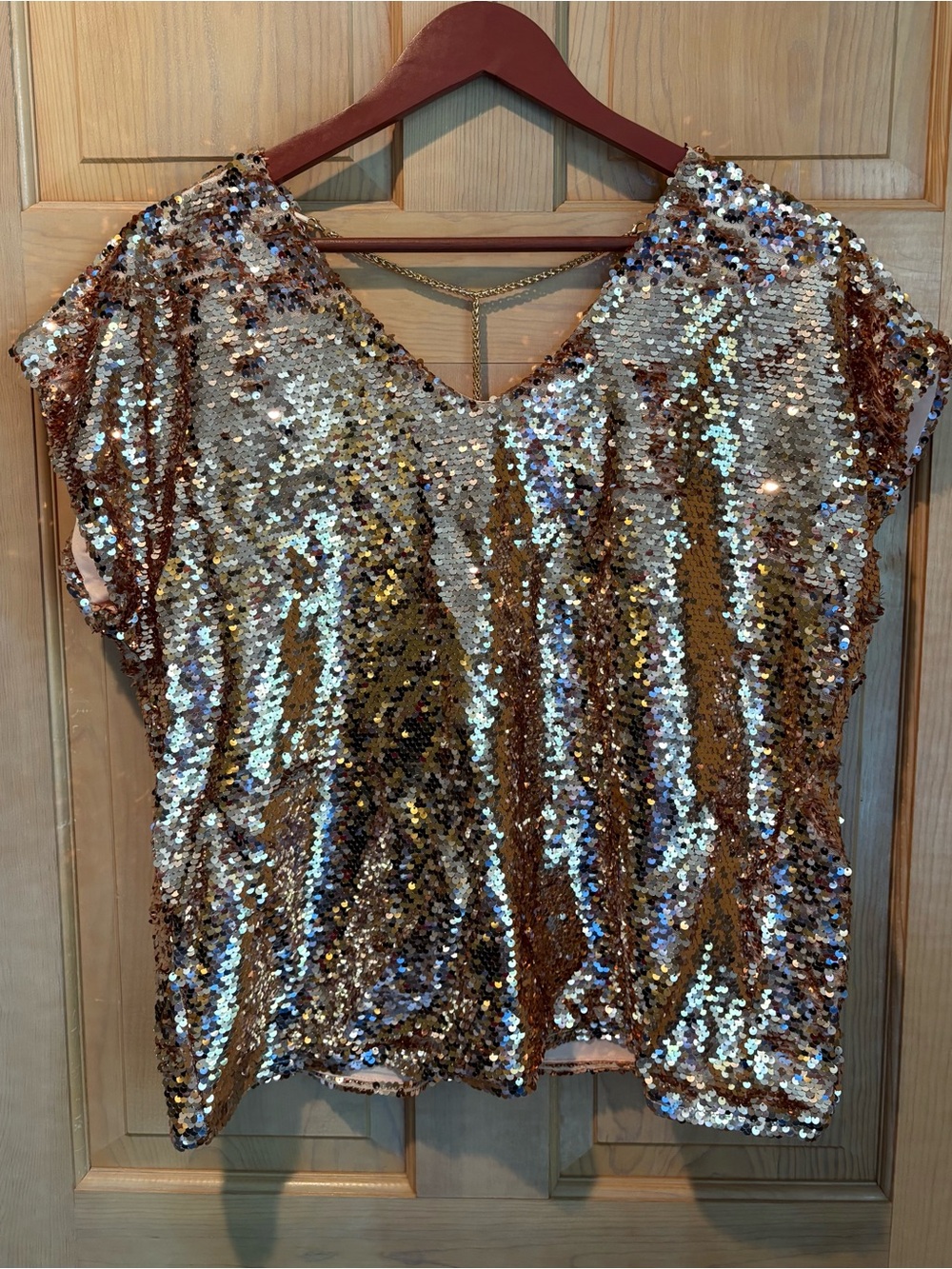 Lavish Sequined V-Neck Short Sleeve Top in Gold